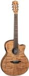 Luna High Tide Grand Concert Nylon String Acoustic Electric Guitar Front View